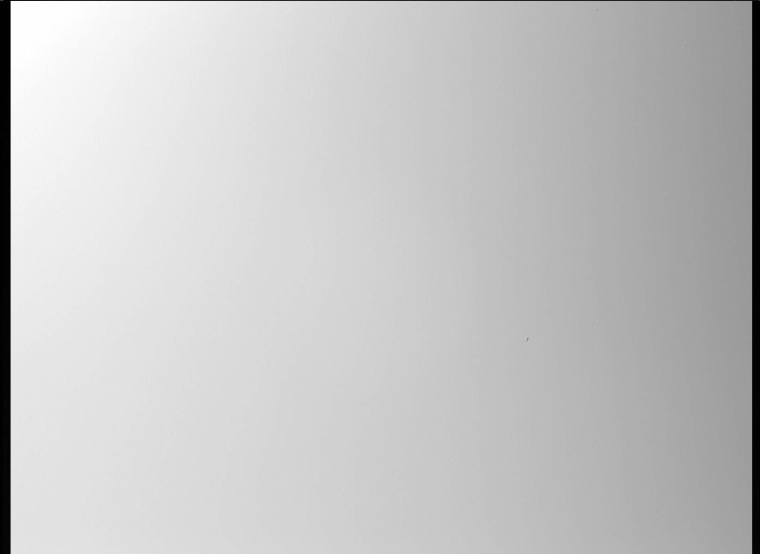 Светло серый цвет однотонный