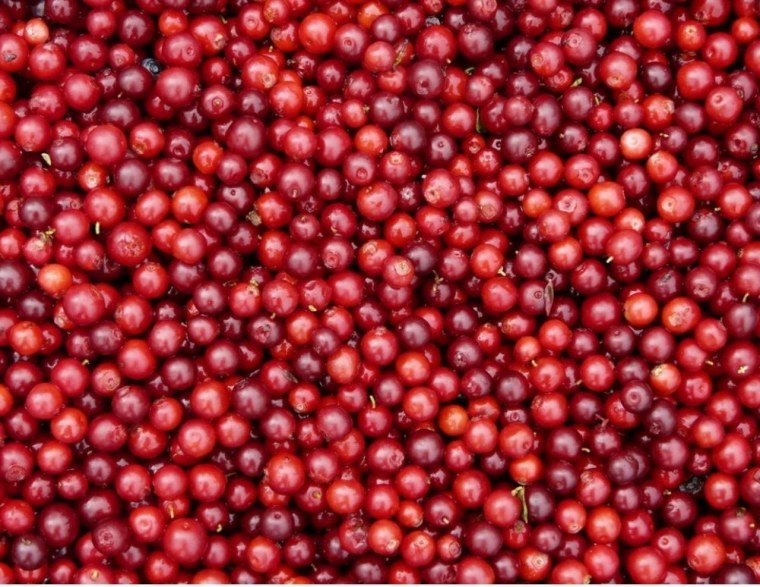 Брусника ягоды россыпью