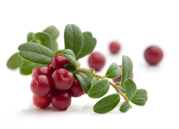 Брусника ягода