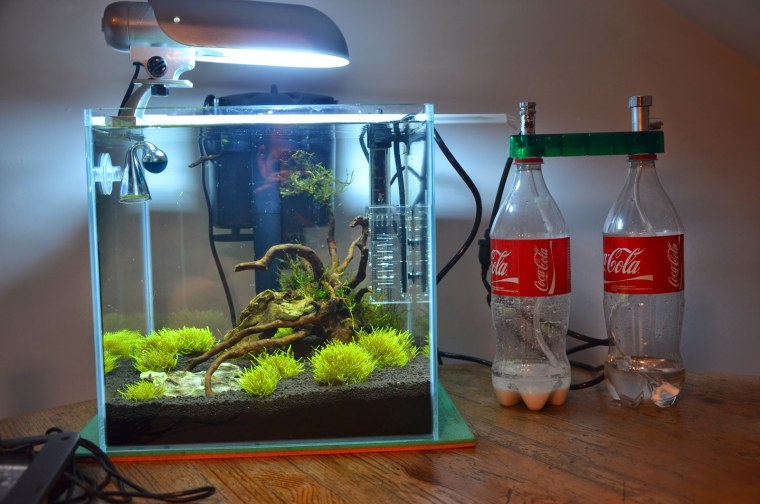 Система co2 для аквариума 70 литров