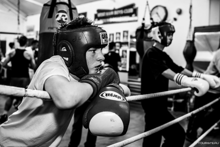 Бокс тренировка