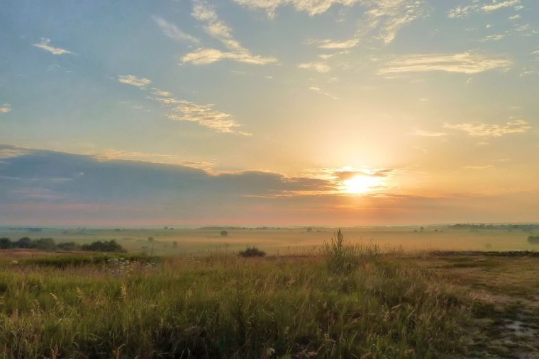 Волжские степи
