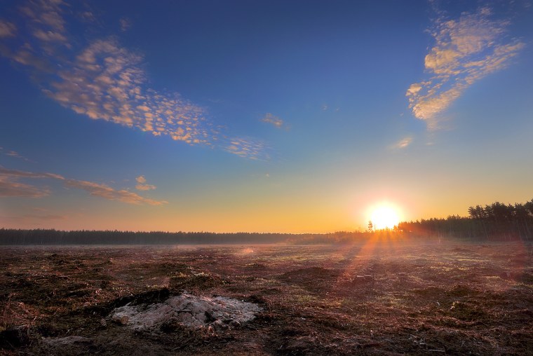 Рассветное солнце