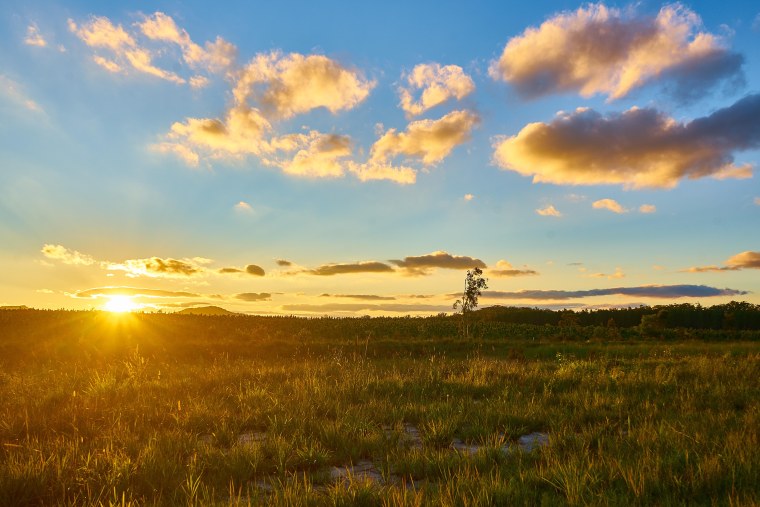 Восход в степи