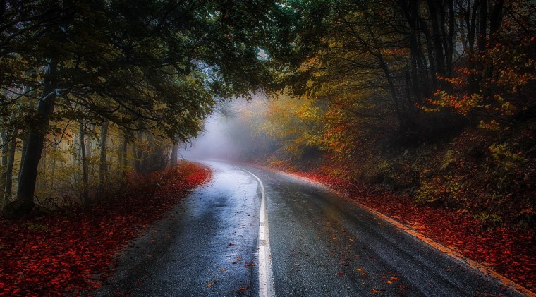 Обои дорога