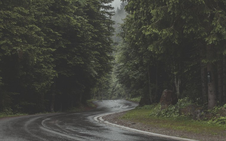 Лесная дорога Диас