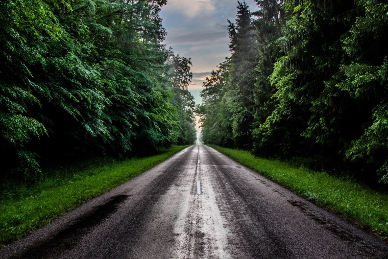 Дорога в лесу