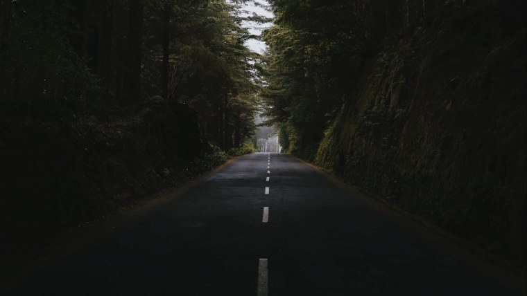 Дорога в темном лесу