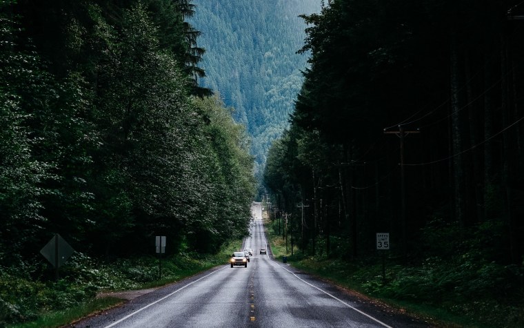 Дорога в лесу США