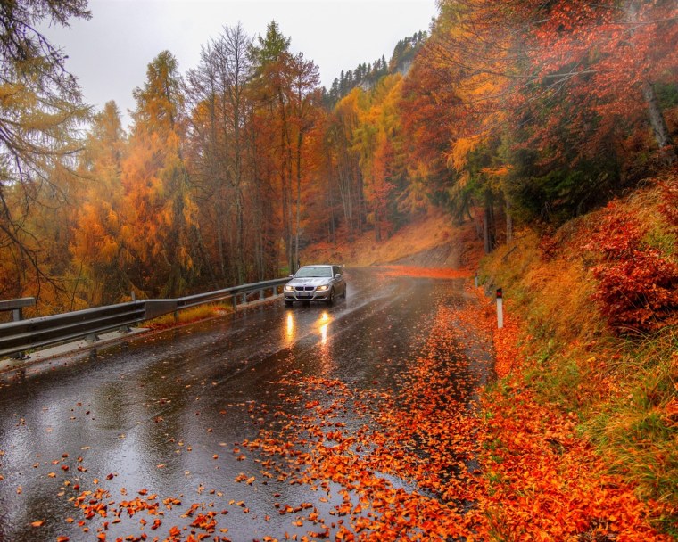 Осенняя дорога