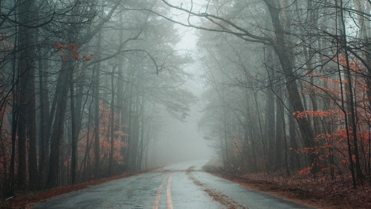 Туманный лес