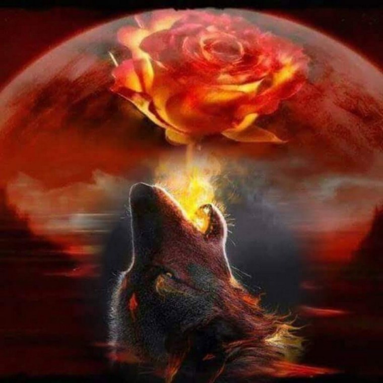 Волк в пламени