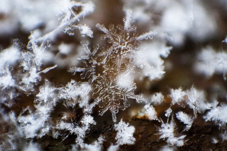 Снег Макросъемка
