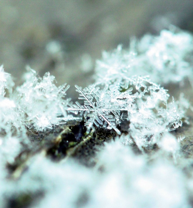 Снег Макросъемка