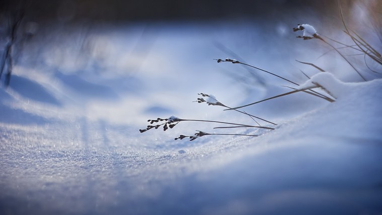 Зимний пейзаж макро