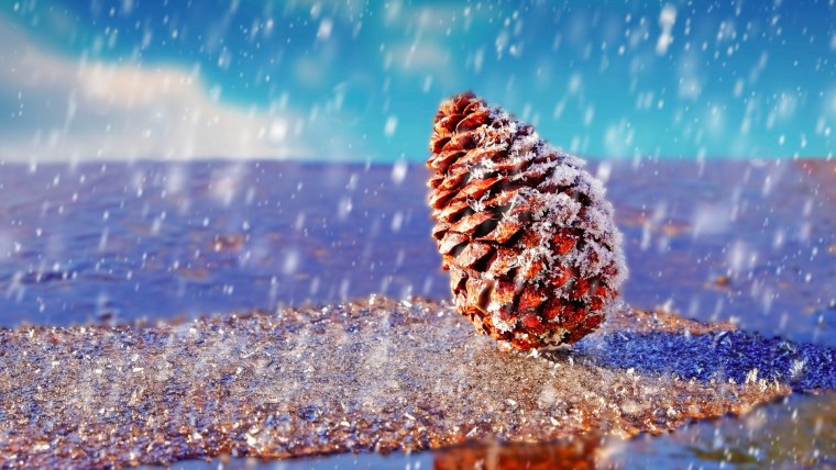 Макросъемка зима