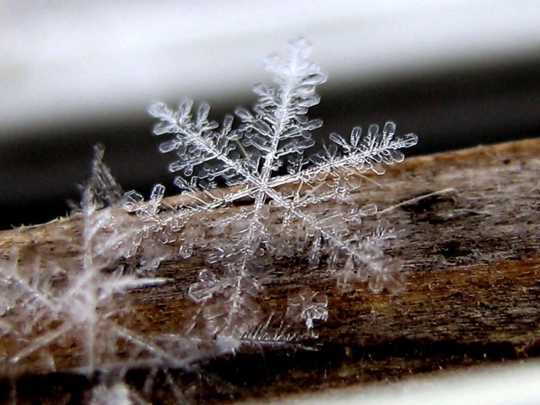 Снежинка вблизи