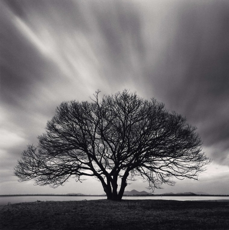 Майкл Кенна пейзажи