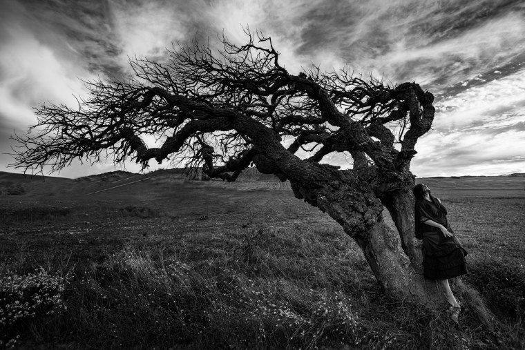 Страшное дерево