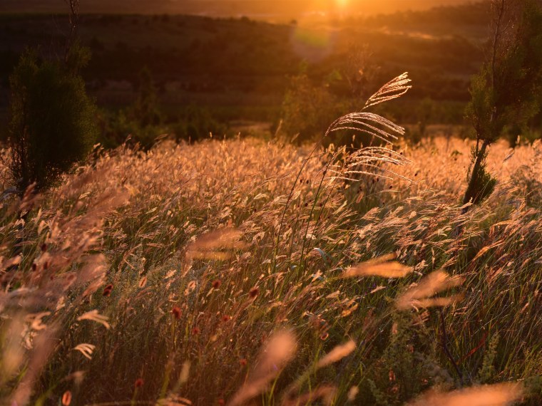 Весна город Беларусь