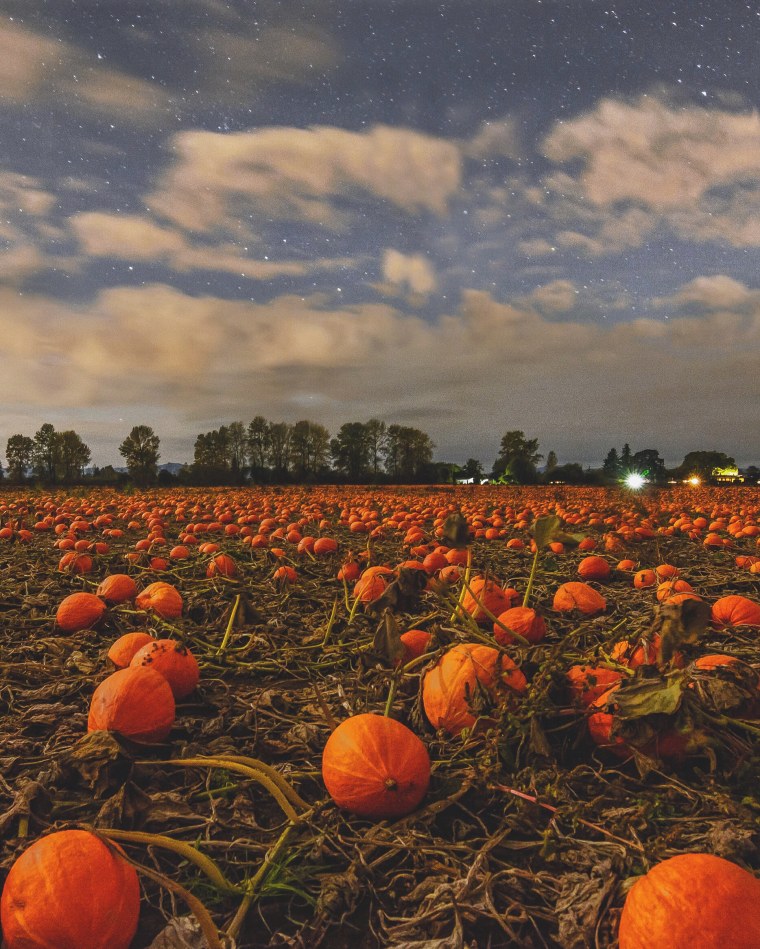 Эстетика рассвет деречн деревня