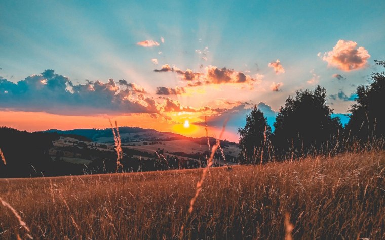 Туманное утро летом