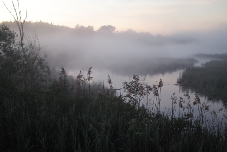 Туманный лес Таганай