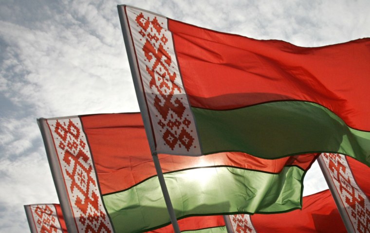 Васильки в поле