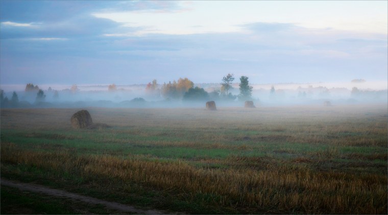 Летний вечер в городе