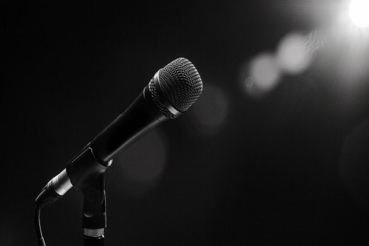 Микрофон Shure PNG