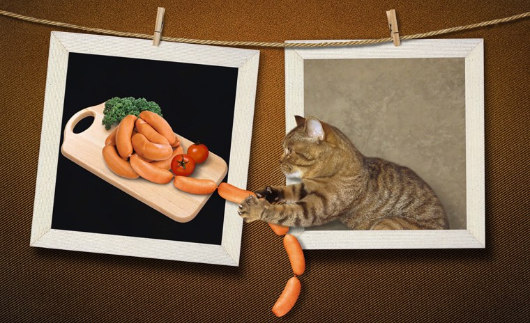 Колбаса для кошек