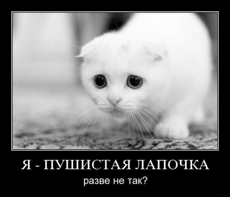 Грустно картинки прикольные