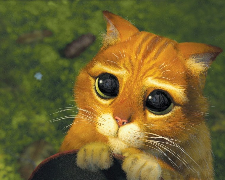 Шрек 2 кот в сапогах