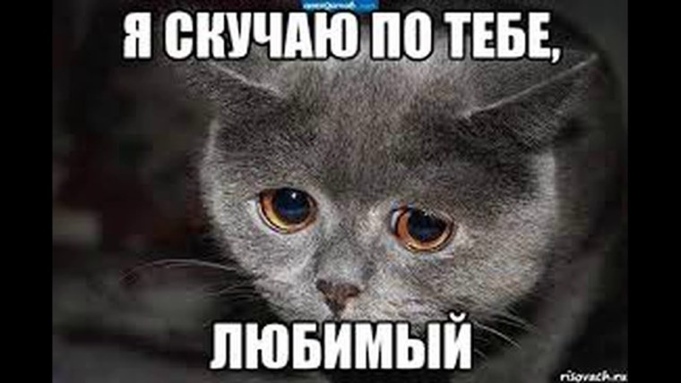 В мире грустит один