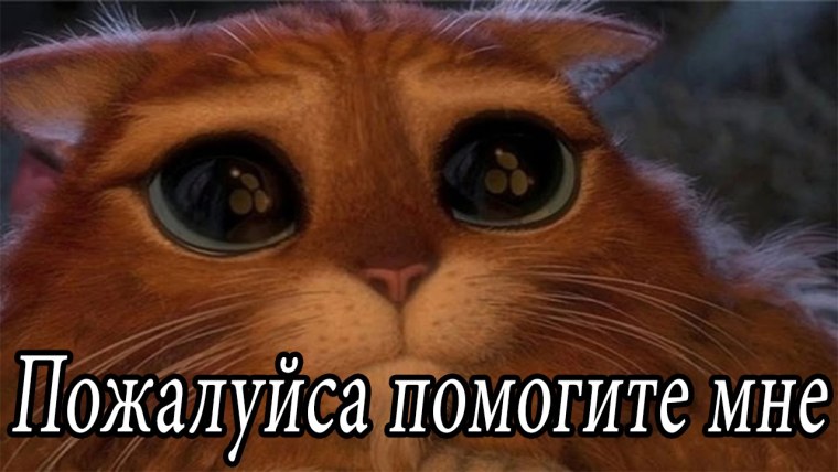 Кот Шрек глаза