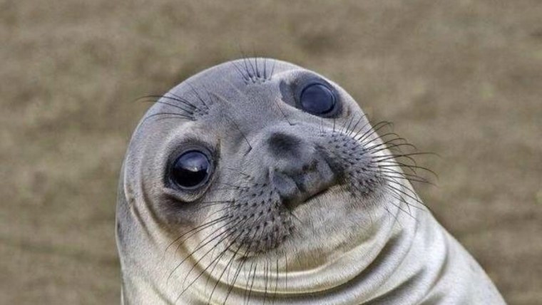 Мемы про лень