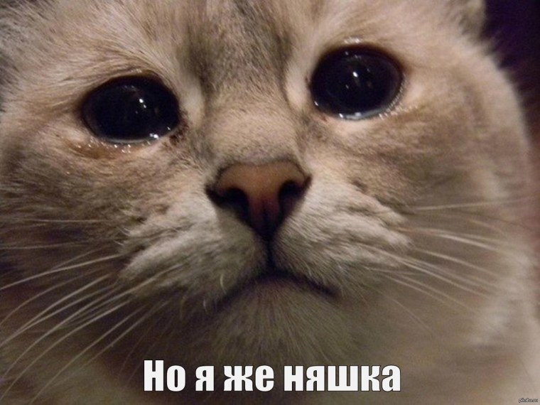 Хорошо сказал Мем