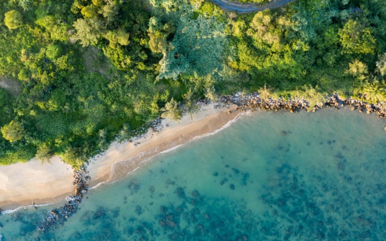 Берег вид сверху