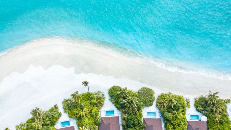 Пляж пальмы вид сверху