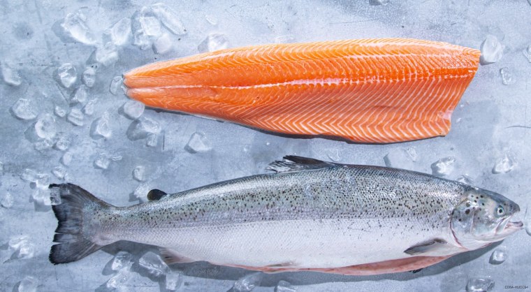 Лосось Арктик Салмон