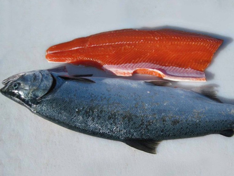 Чавыча рыба