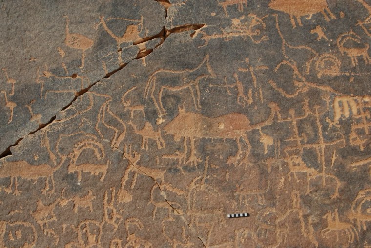 Саудовская Аравия петроглифы