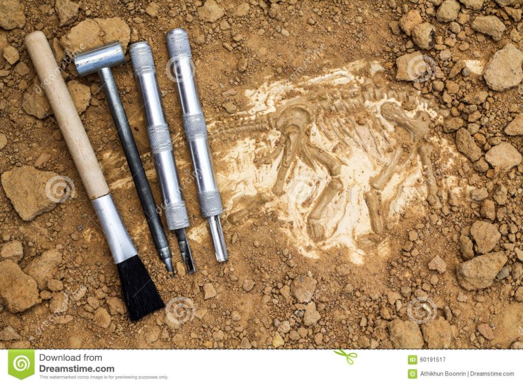 Инструменты для раскопок