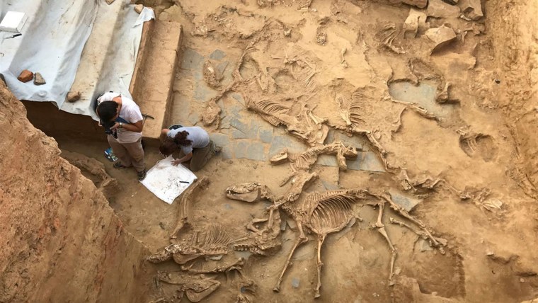 Исторические раскопки