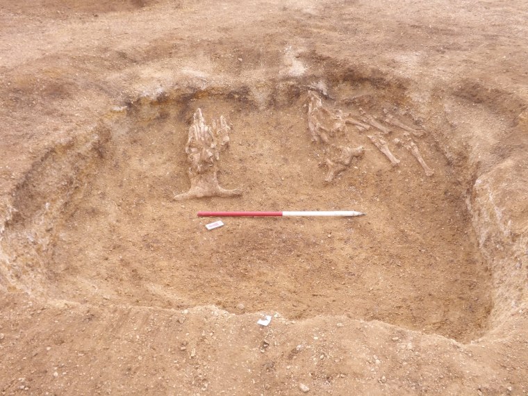 Бронзовый век захоронения