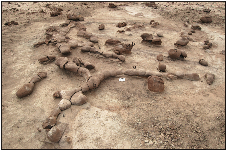 Фон раскопки