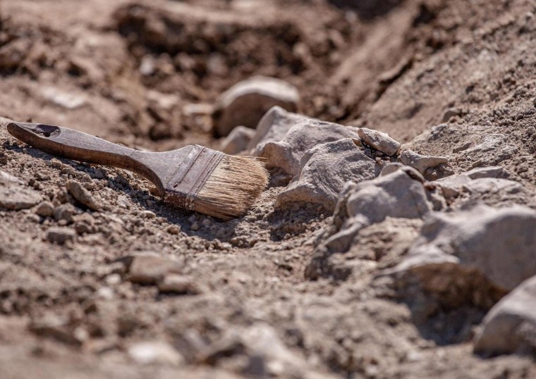 Красивые раскопки