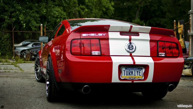 Ford Mustang 1967 сзади
