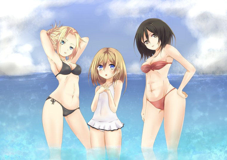 Микаса Аккерман dandonfuga