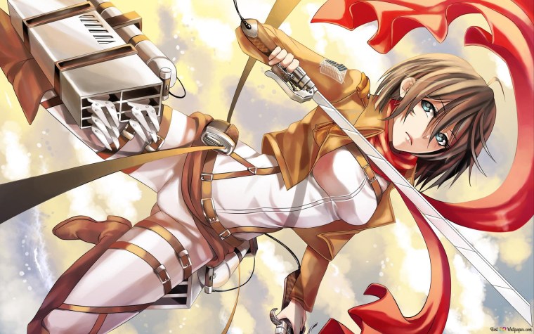 Микаса Аккерман muscle